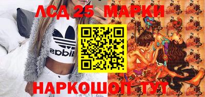 гидра Боровичи