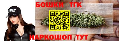 гидра Боровичи