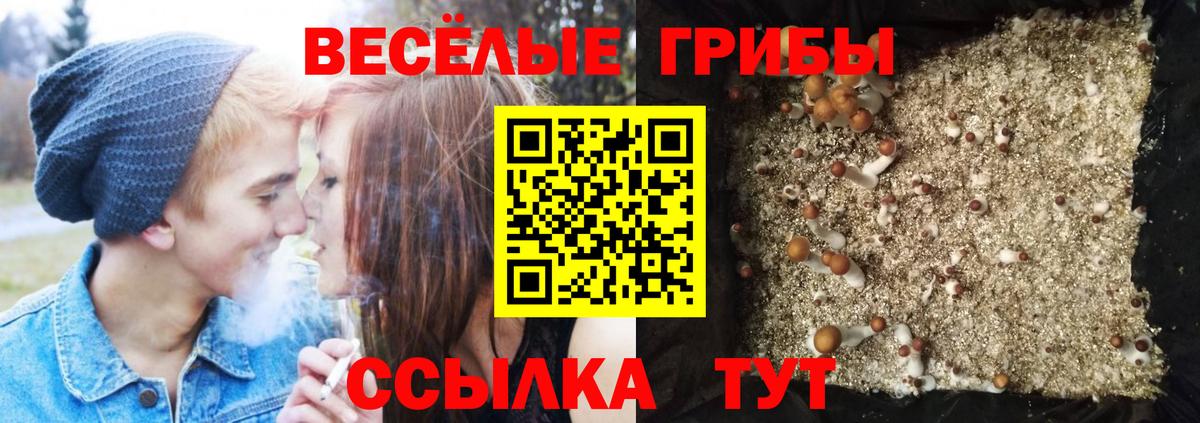 Галлюциногенные грибы MAGIC MUSHROOMS Нижнекамск
