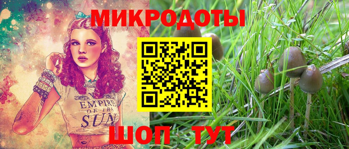 где купить наркотик  Вход с VPN  Псилоцибиновые грибы мухоморы  Нижнекамск  Псилоцибиновые грибы Magic Shrooms 